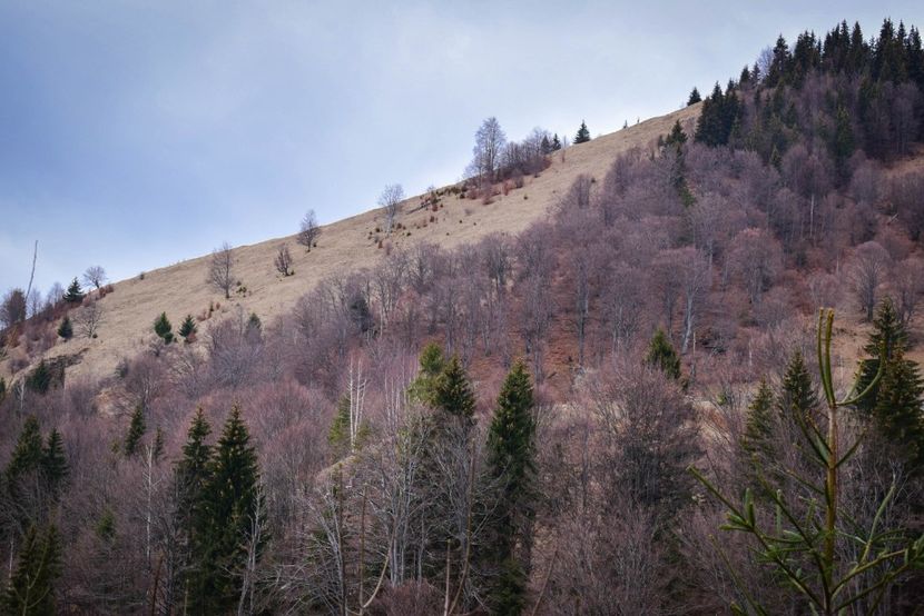  - Iarna 2018