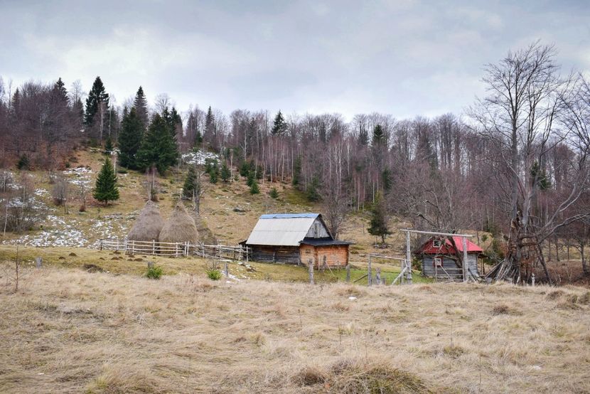  - Iarna 2018