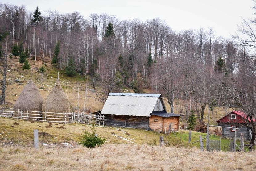  - Iarna 2018