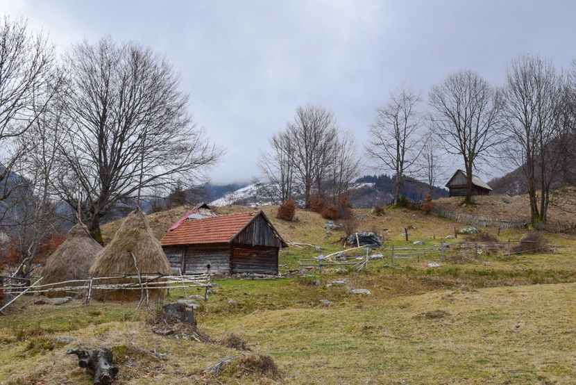  - Iarna 2018