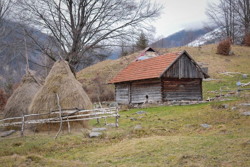  - Iarna 2018