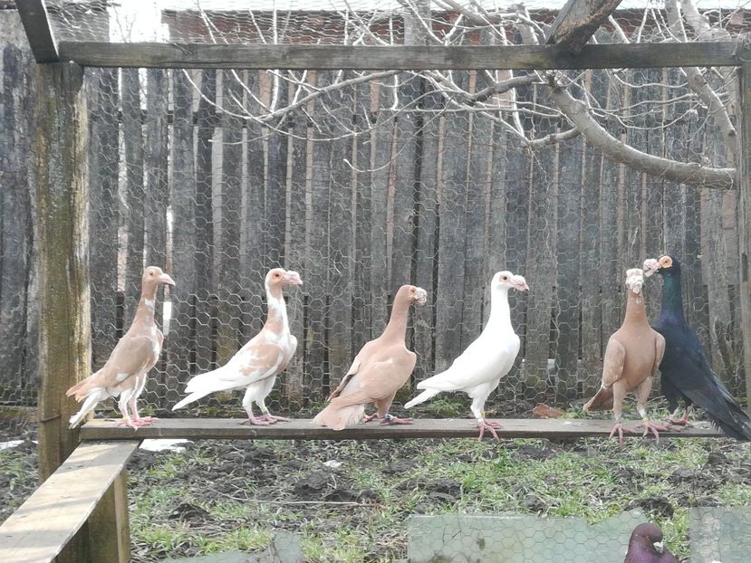 PT.MATCA.2018 - INSTANTANEE KARRIER