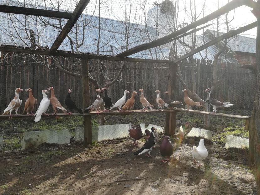  - INSTANTANEE KARRIER