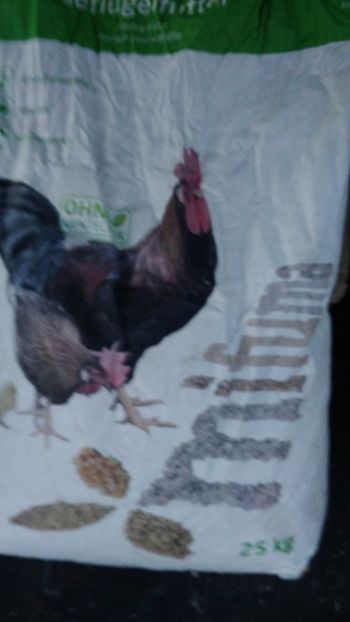 P_20180312_182729 - 2018