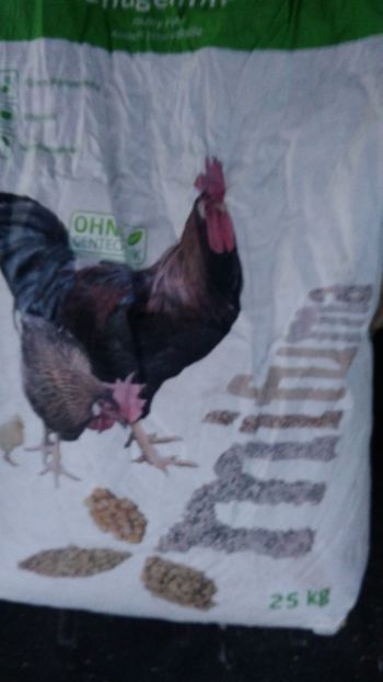 P_20180312_182721 - 2018