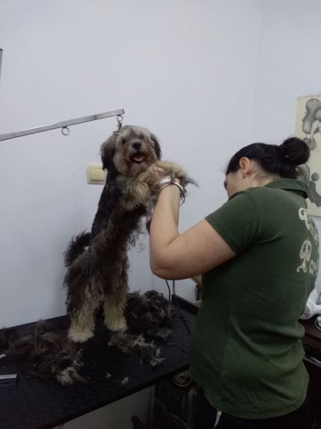  - cosmetica canina