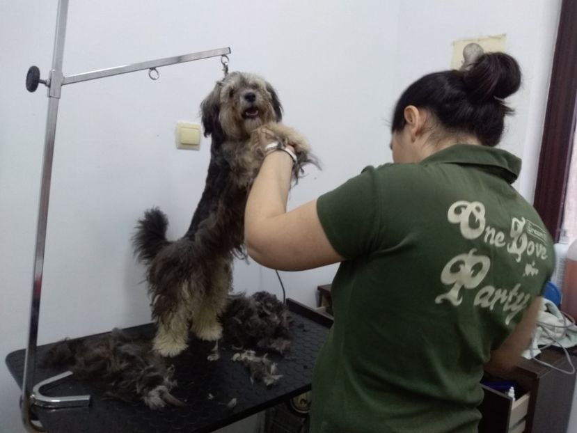  - cosmetica canina