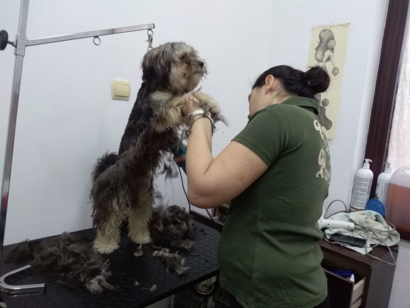  - cosmetica canina