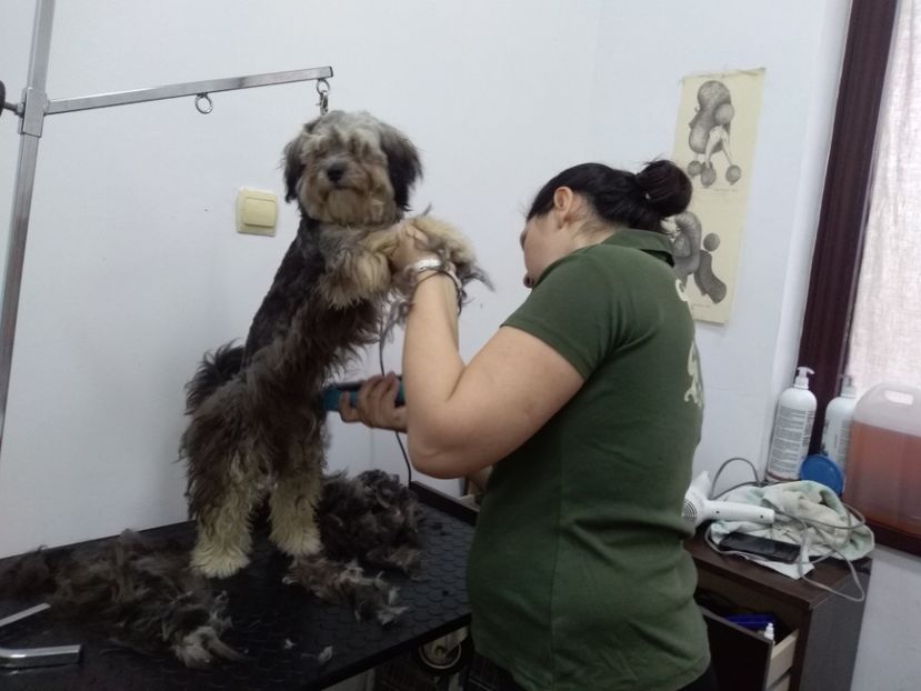  - cosmetica canina