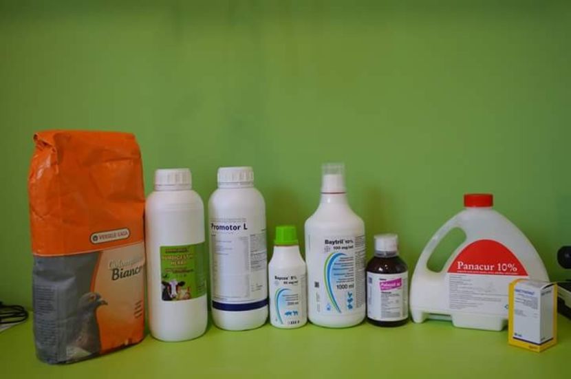  - MEDICAMENTE IEPURI
