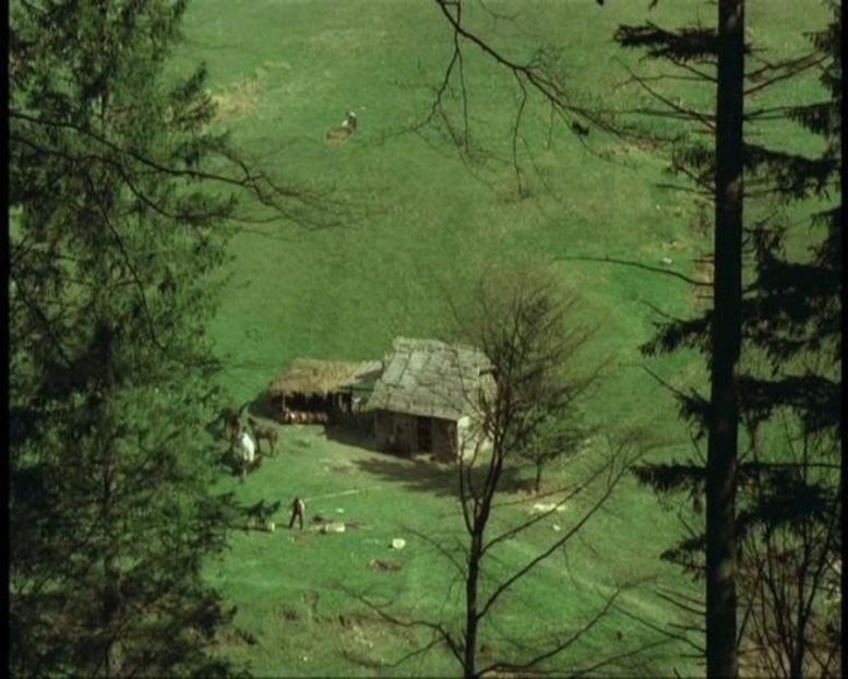 Profetul Aurul Si Ardelenii - Profetul Aurul Si Ardelenii 1978