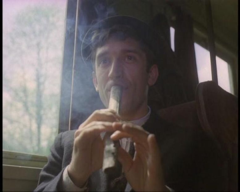 Profetul Aurul Si Ardelenii - Profetul Aurul Si Ardelenii 1978