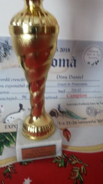  - Expoziție Dorohoi 2018