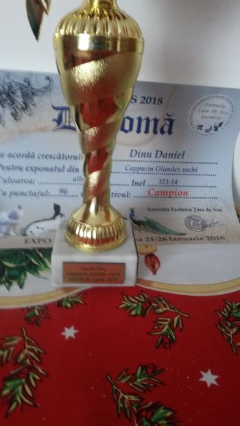  - Expoziție Dorohoi 2018