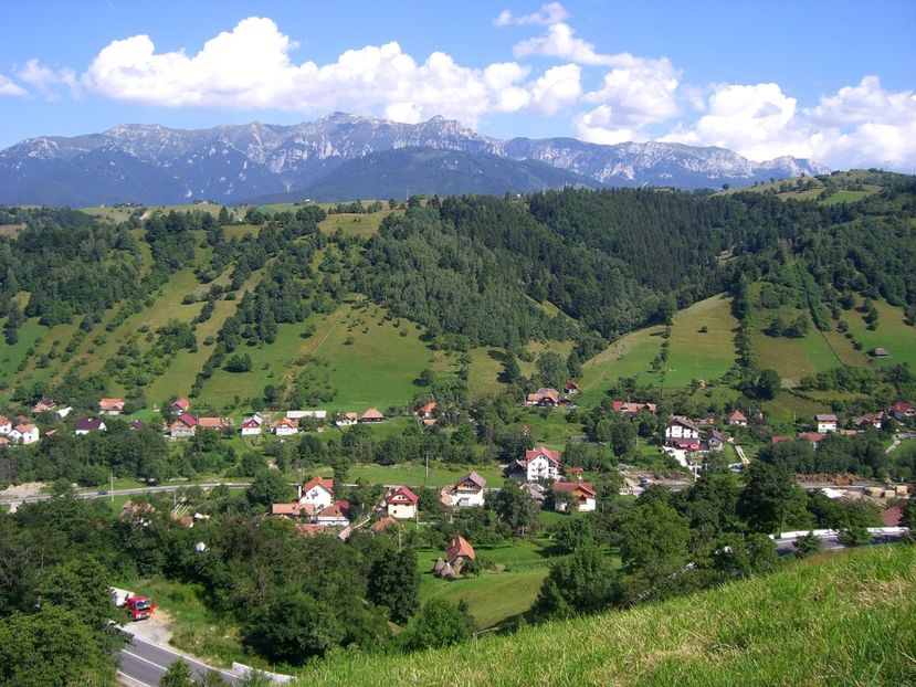  - 6 Clipe din România
