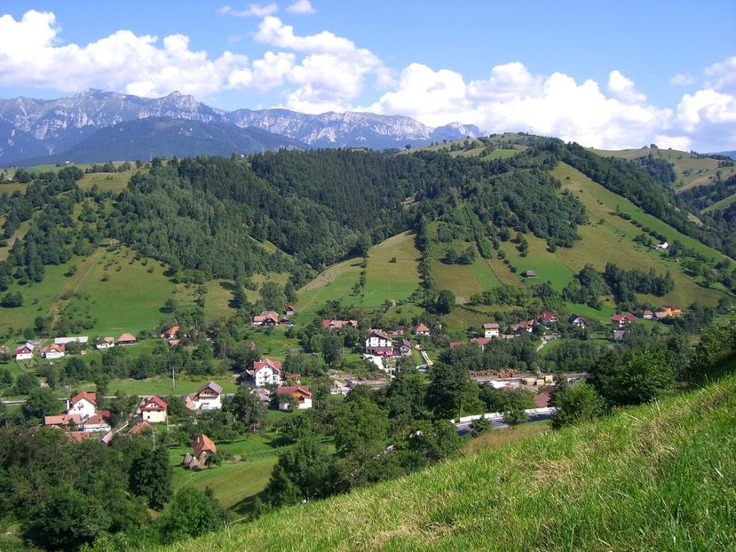  - 6 Clipe din România