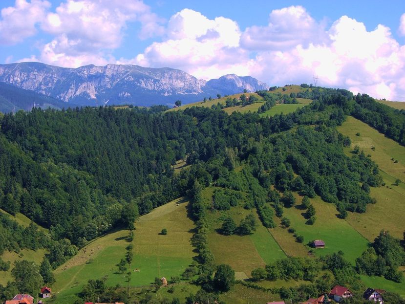  - 6 Clipe din România