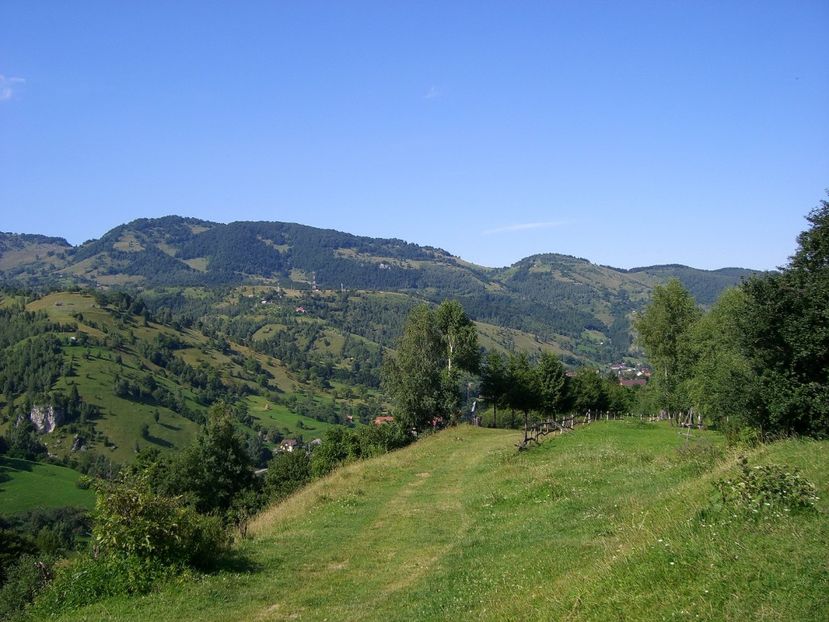  - 6 Clipe din România