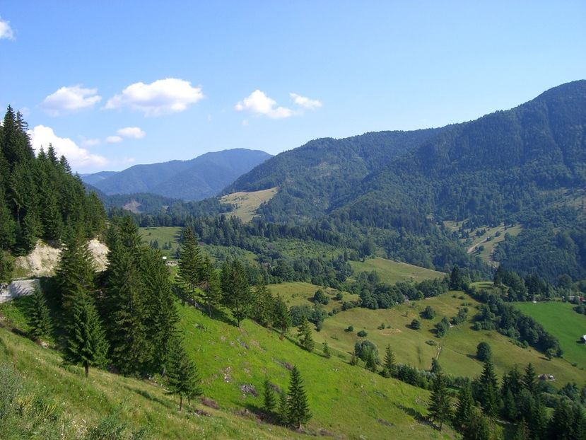  - 6 Clipe din România