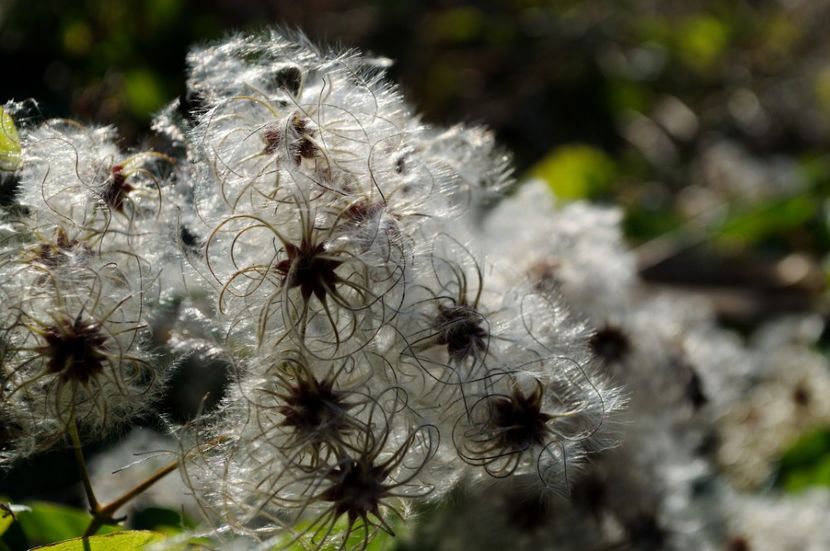  - 2 Clipe din România