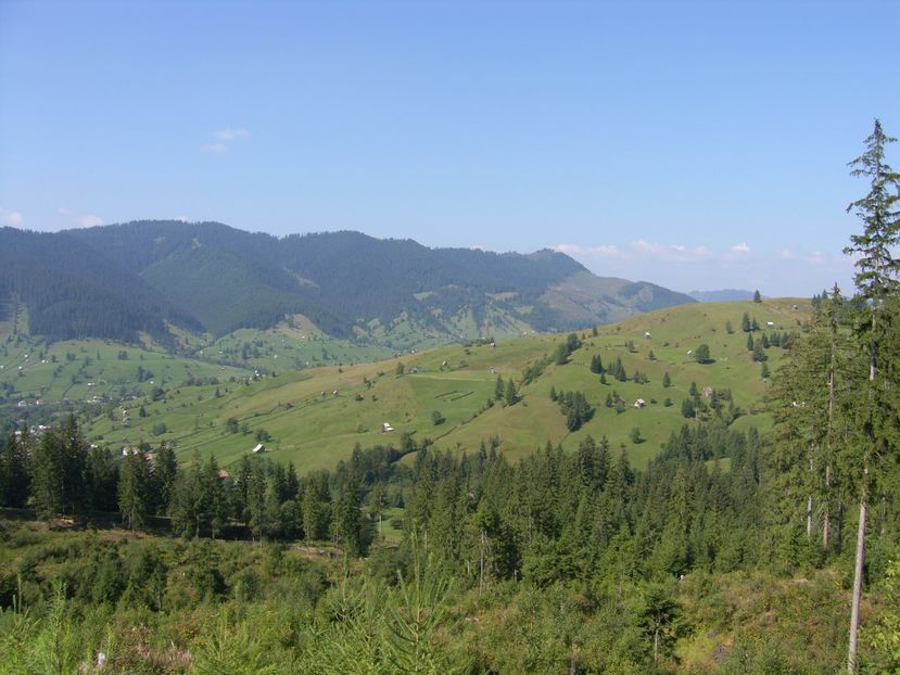  - 3 Clipe din România