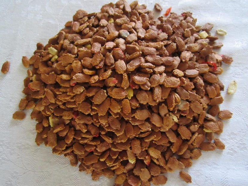 106029910_2_1000x700_seminte-de-momordica-livrare-gratuita-fotografii - 2018