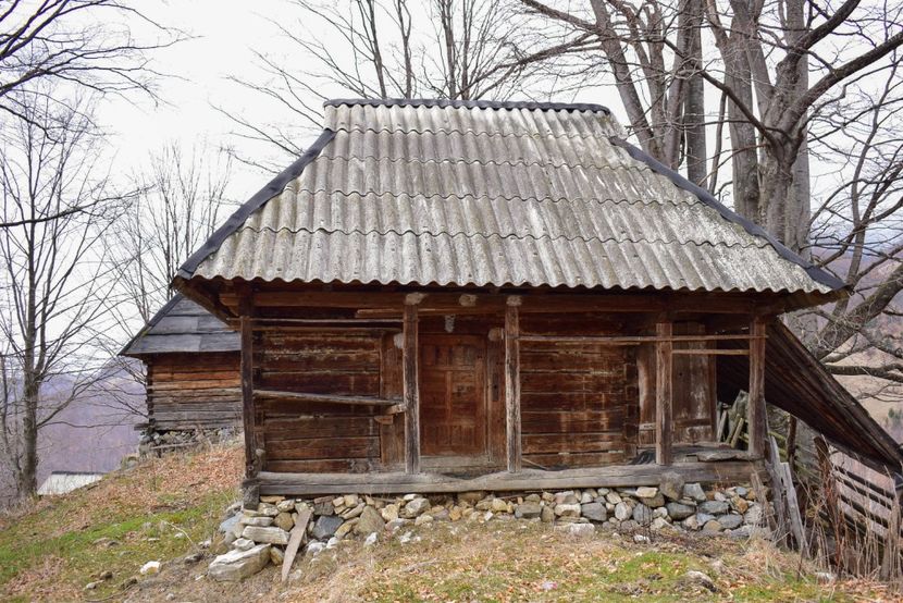  - Iarna 2018