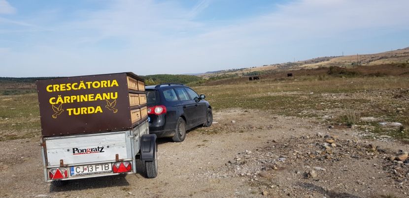  - Remorca transport porumbei