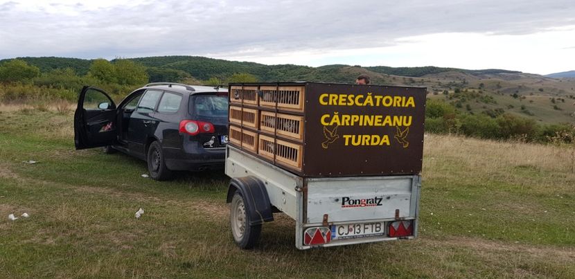  - Remorca transport porumbei