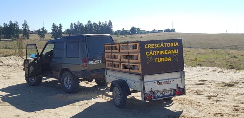  - Remorca transport porumbei