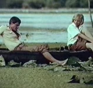 Sosesc Pasarile Calatoare - Sosesc Pasarile Calatoare 1984