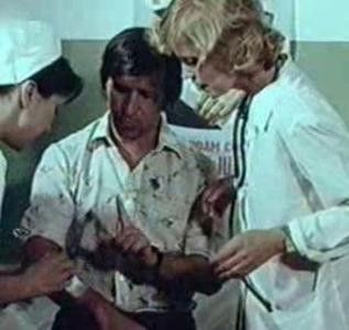 Sosesc Pasarile Calatoare - Sosesc Pasarile Calatoare 1984