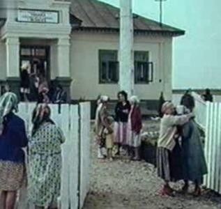 Sosesc Pasarile Calatoare - Sosesc Pasarile Calatoare 1984