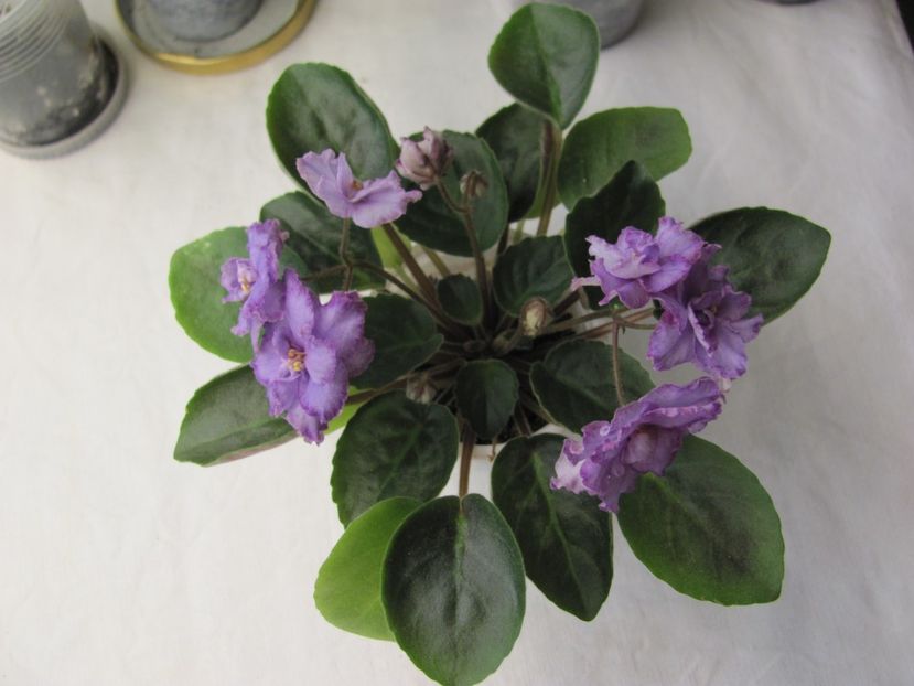  - ZZZRS-Barkhatnyi Nariad trailer