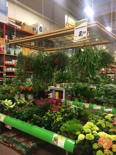 13.03.2018 - Modele de Raft