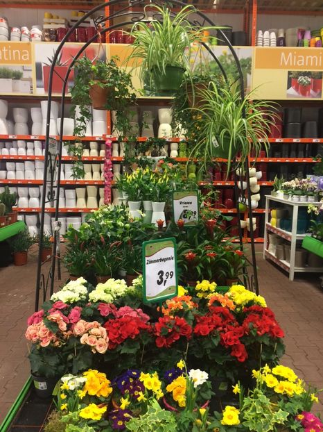 7.03.218 - Modele de Raft