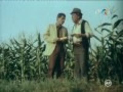 Vara Sentimentala - Vara Sentimentala 1985