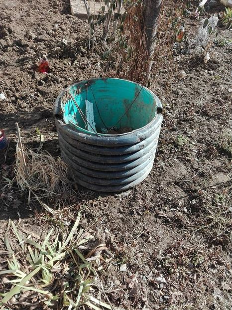 29103435_939198372933747_6438508962886189056_n (1) - defrisarea