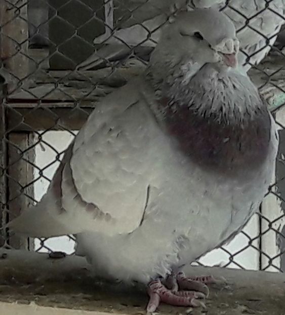 M 2016 Athos - Top ten 2018