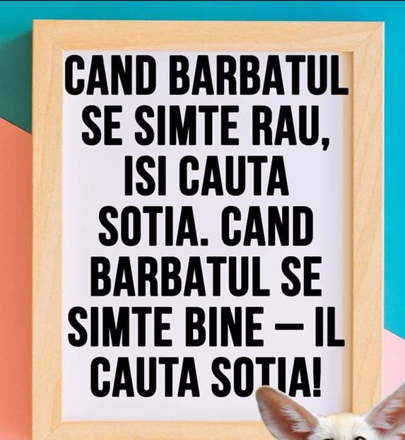  - Poze 1