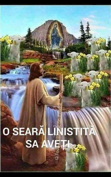  - Poze 1
