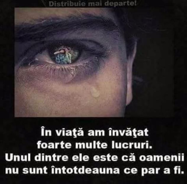  - Poze 1