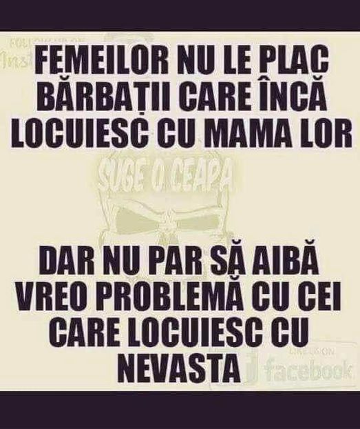  - Poze 1