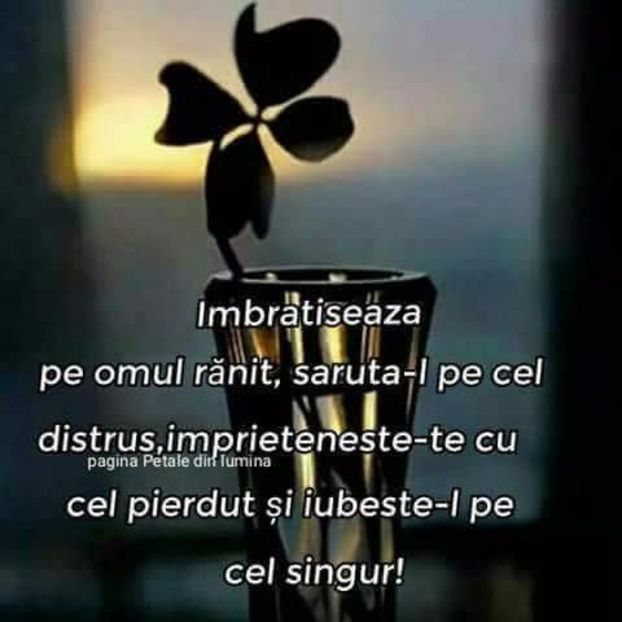  - Poze 1