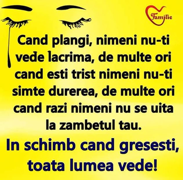  - Poze 1