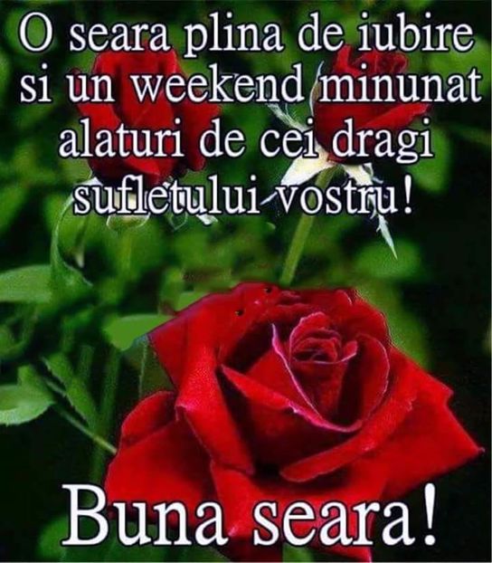  - Poze 1
