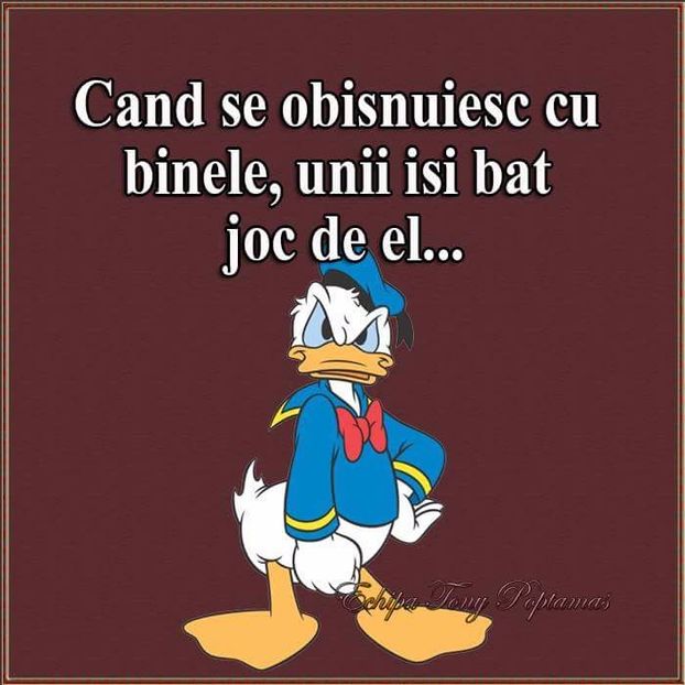  - Poze 1