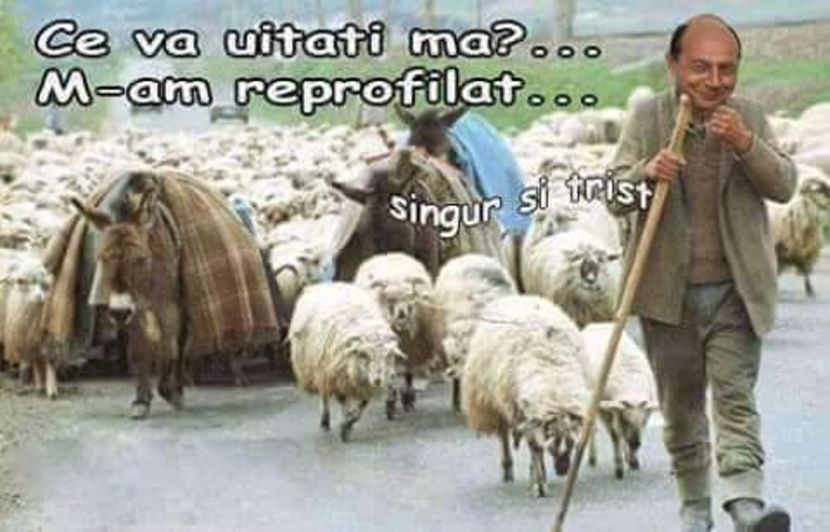  - Poze 1