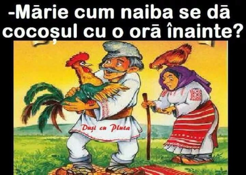  - Poze 1