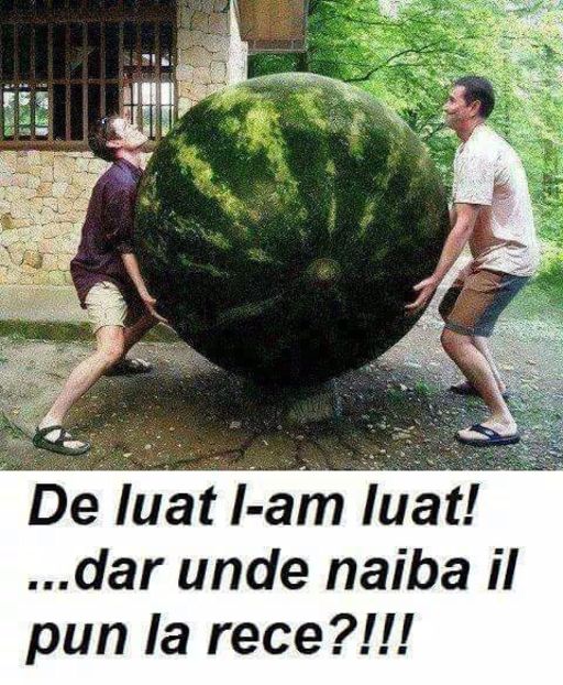  - Poze 1